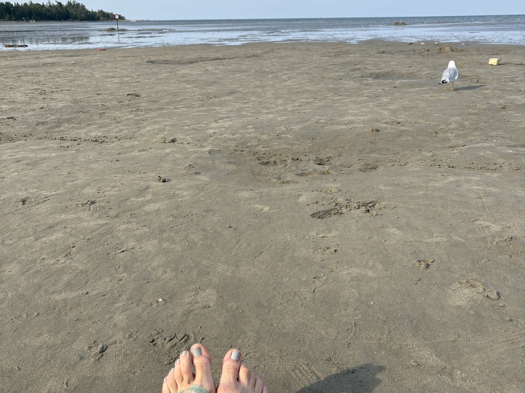 Singing Sands Beach-托伯莫里必去景点