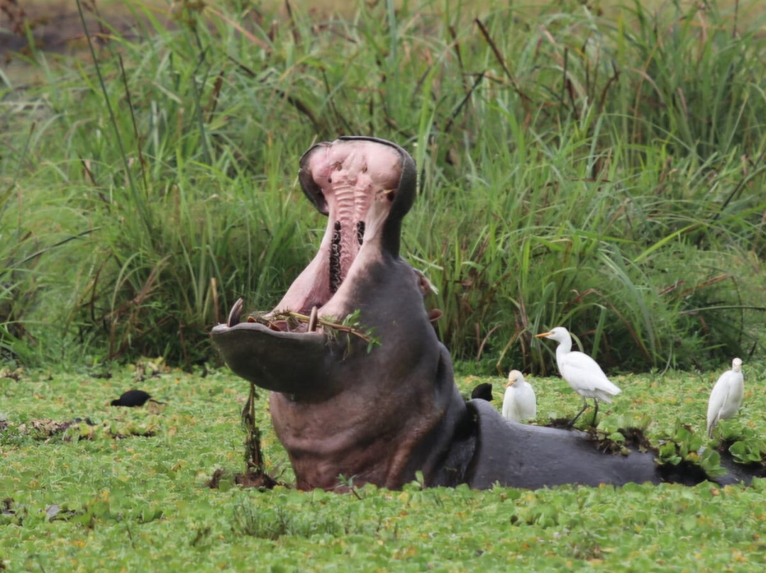 My Trip 2 Africa-Mbarara必去景点