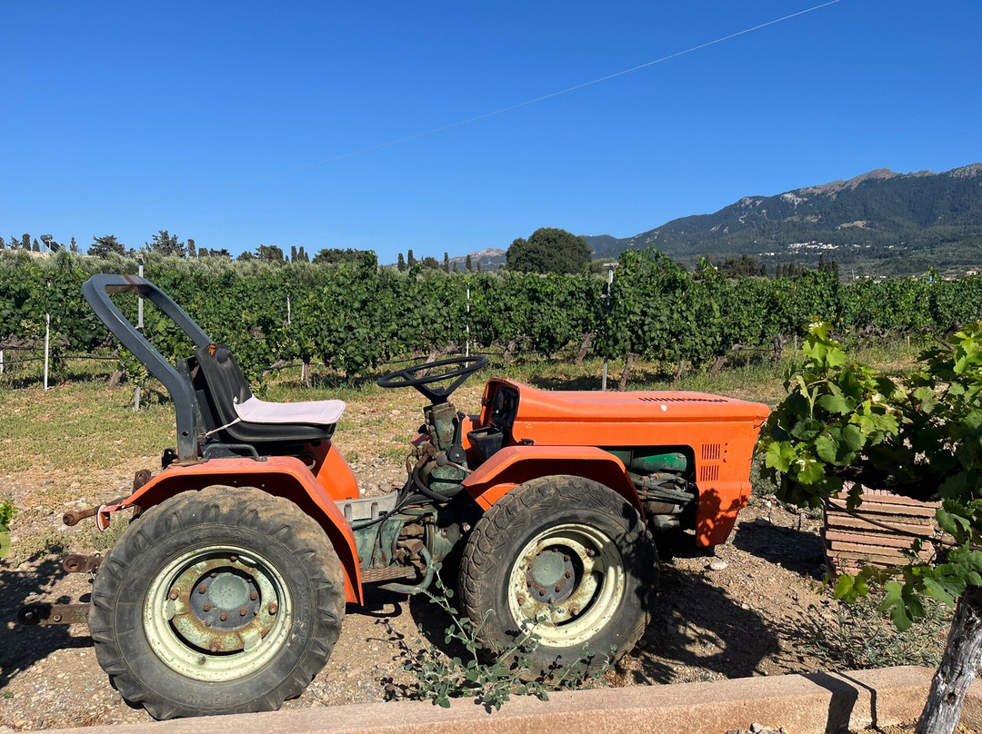 Hatziemmanouil Winery-Linopotis必去景点