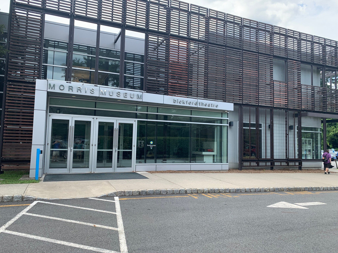 Morris Museum-莫里斯敦必去景点