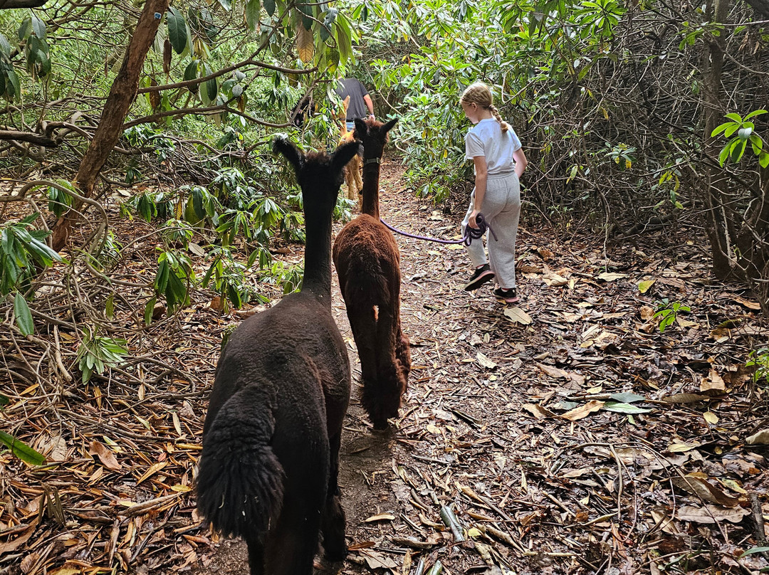 Reuthe's The Lost Gardens Of Sevenoaks-Sevenoaks必去景点