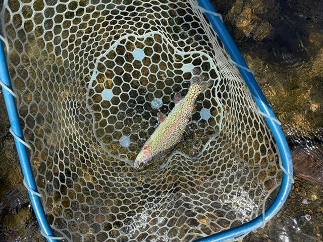 Arrick's Fly Shop, Inc.-西黄石镇必去景点