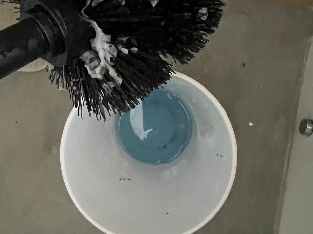 巷子区-布莱顿必去景点