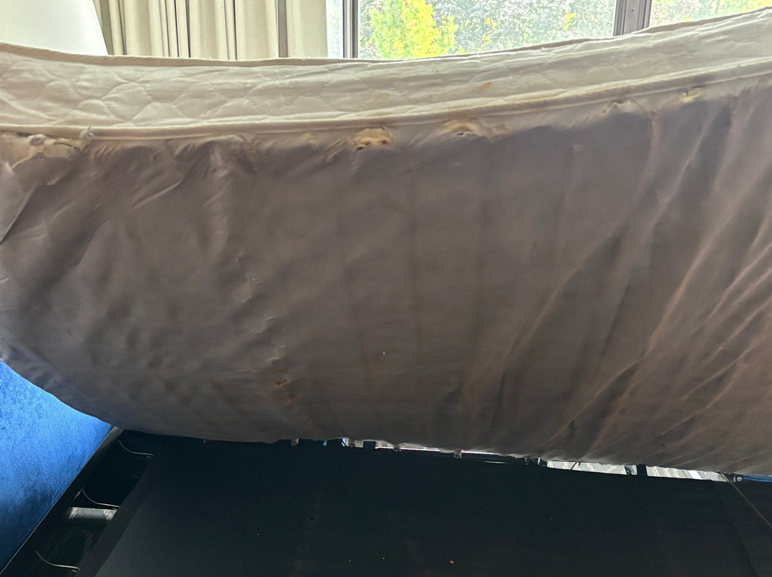 梅多兰兹锡考克斯拉金塔套房酒店主图