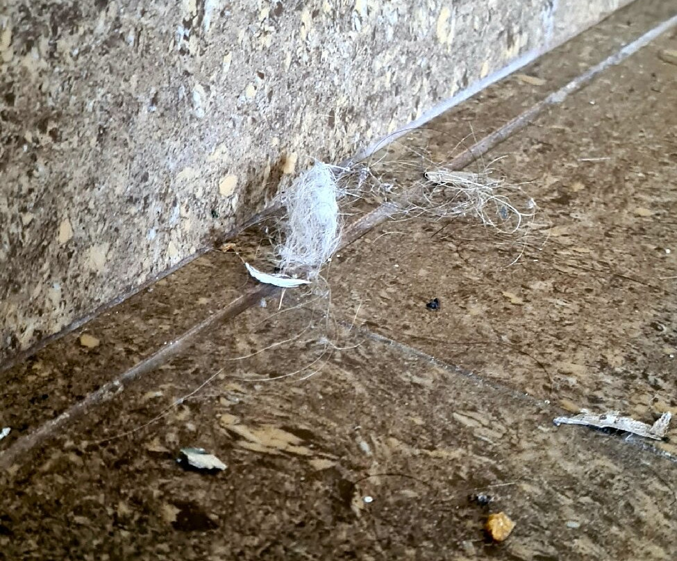 Massouri Beach Hotel主图