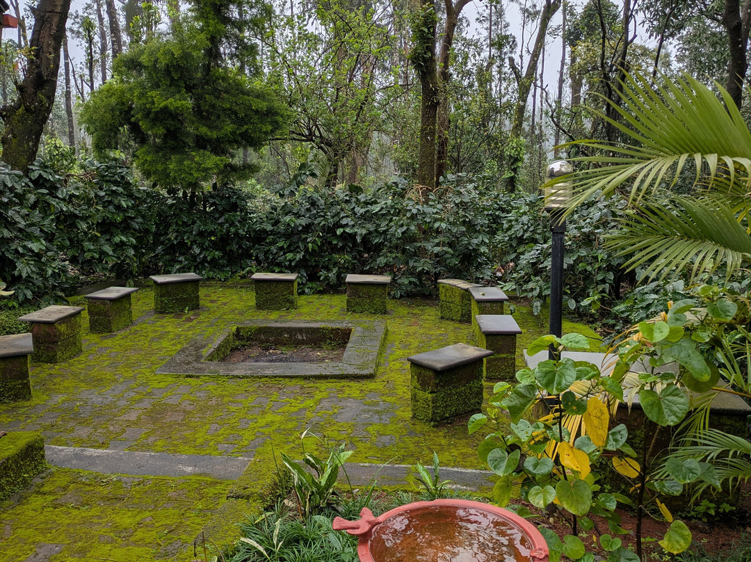 Green Pastures Coorg主图