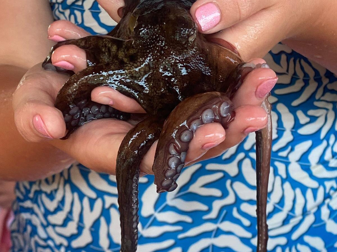 Eren 1 Boat-伊丘每勒必去景点