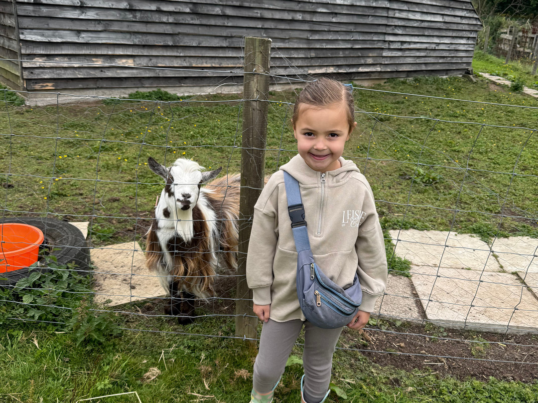 Wee Eden-West Calder必去景点