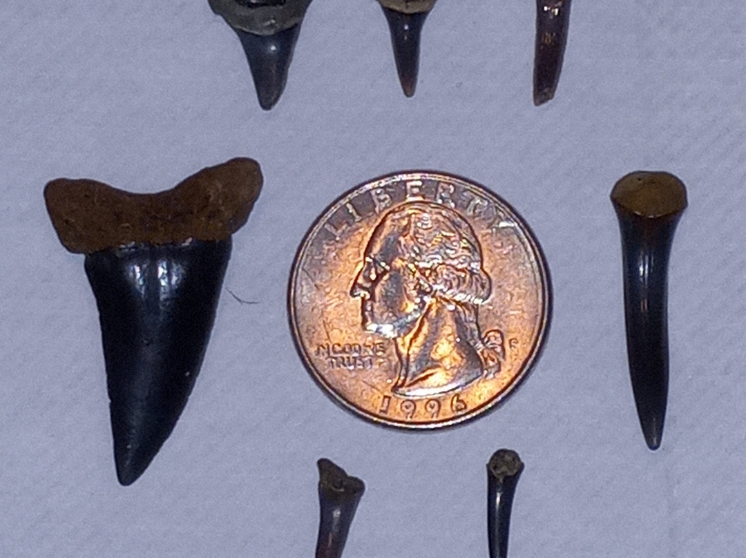 Kayak Carolina-Kure Beach必去景点