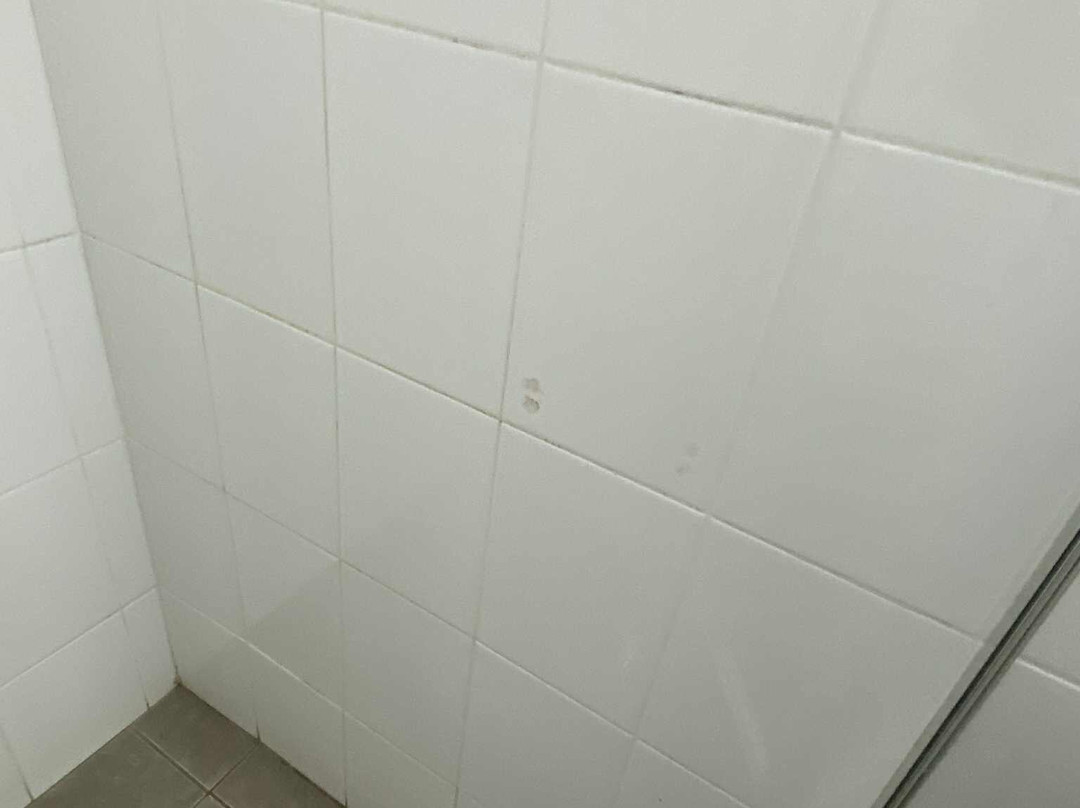 The Ashwood Motel主图