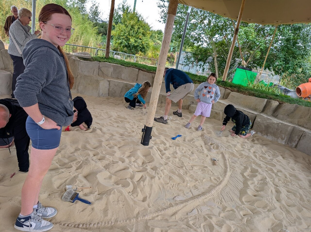 Jurassic Discovery-Seaton必去景点