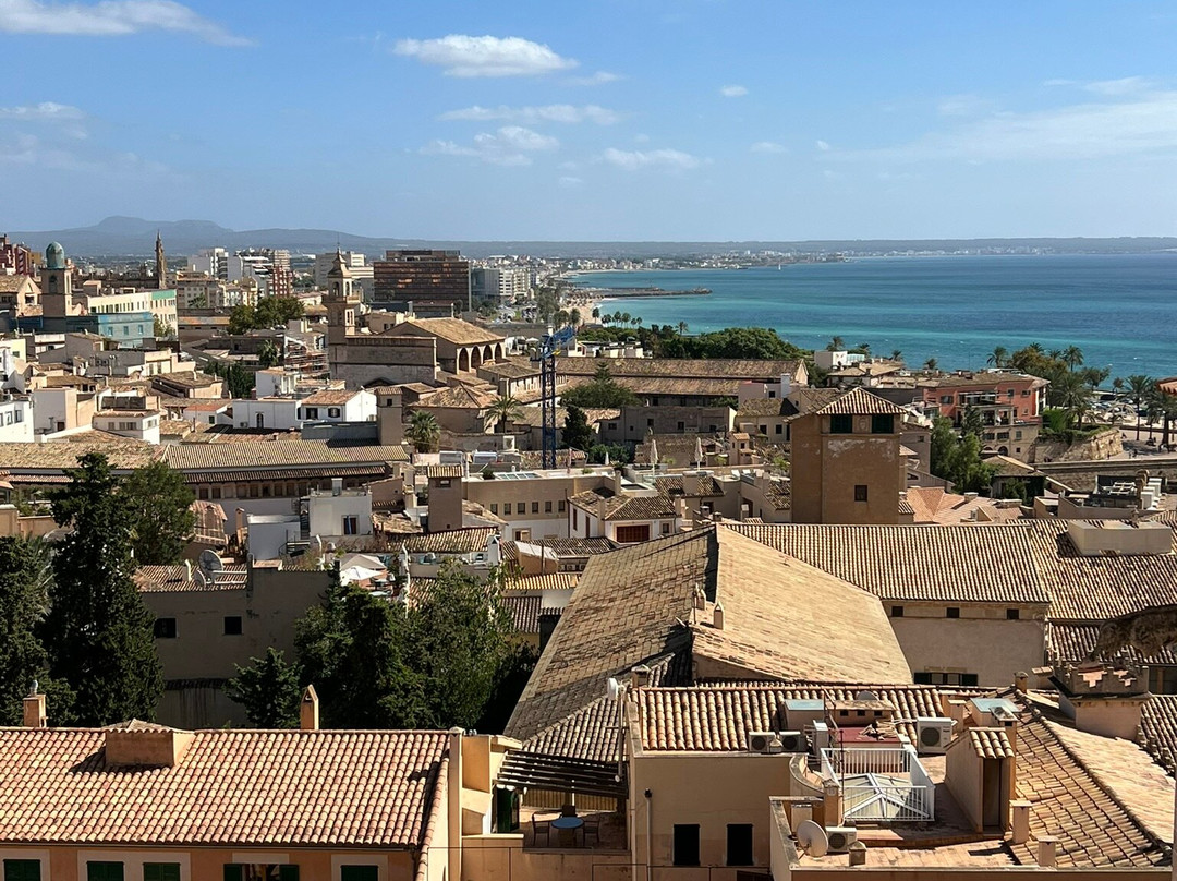 Terrazas de la Catedral de Palma-马洛卡帕尔马必去景点