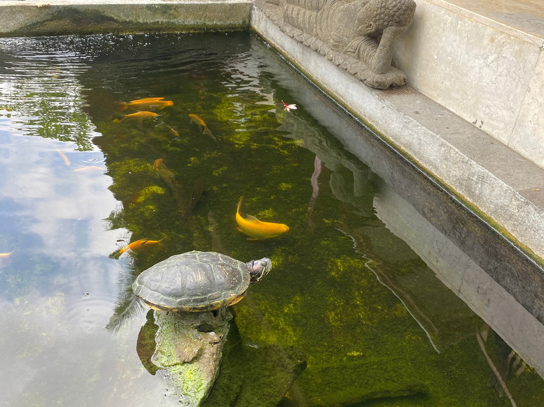 Lodtunduh Sari主图