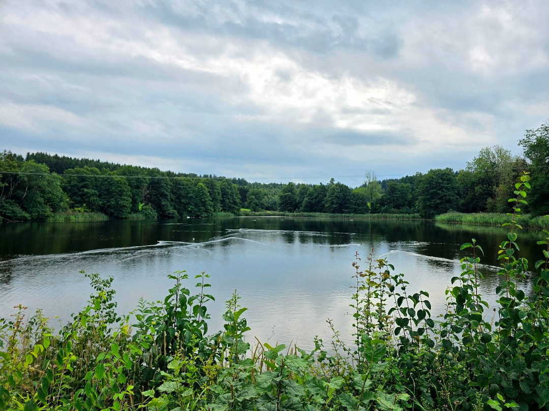 Irseer Klosterbraeu主图