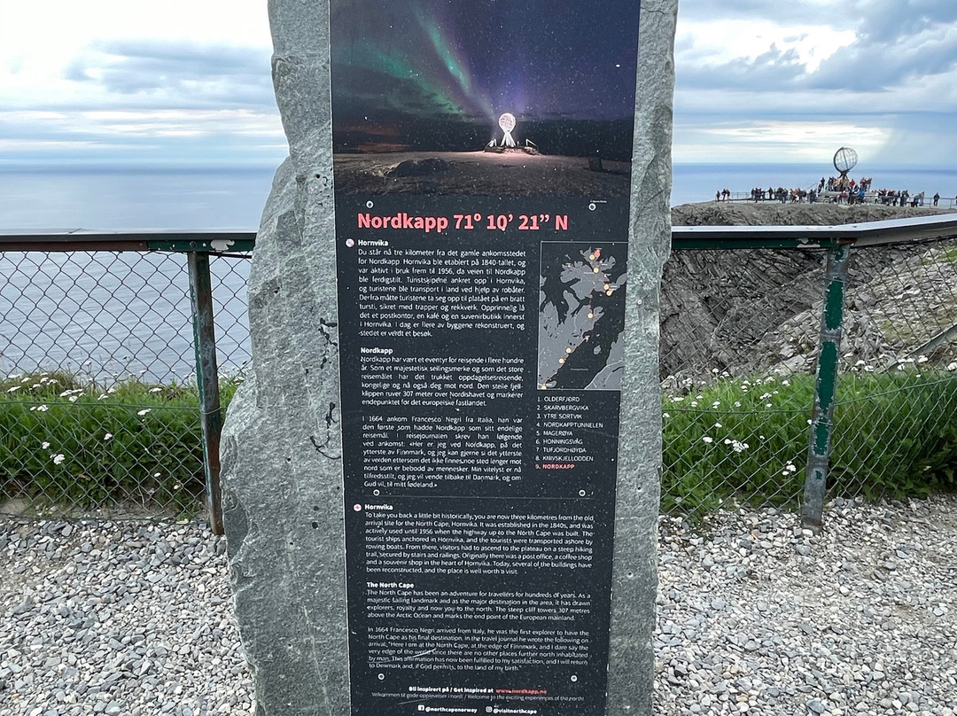 Blue Puffin-霍宁斯沃格必去景点