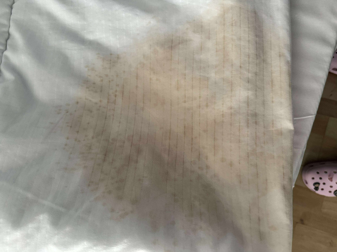 Clifton Hotel Newcastle主图