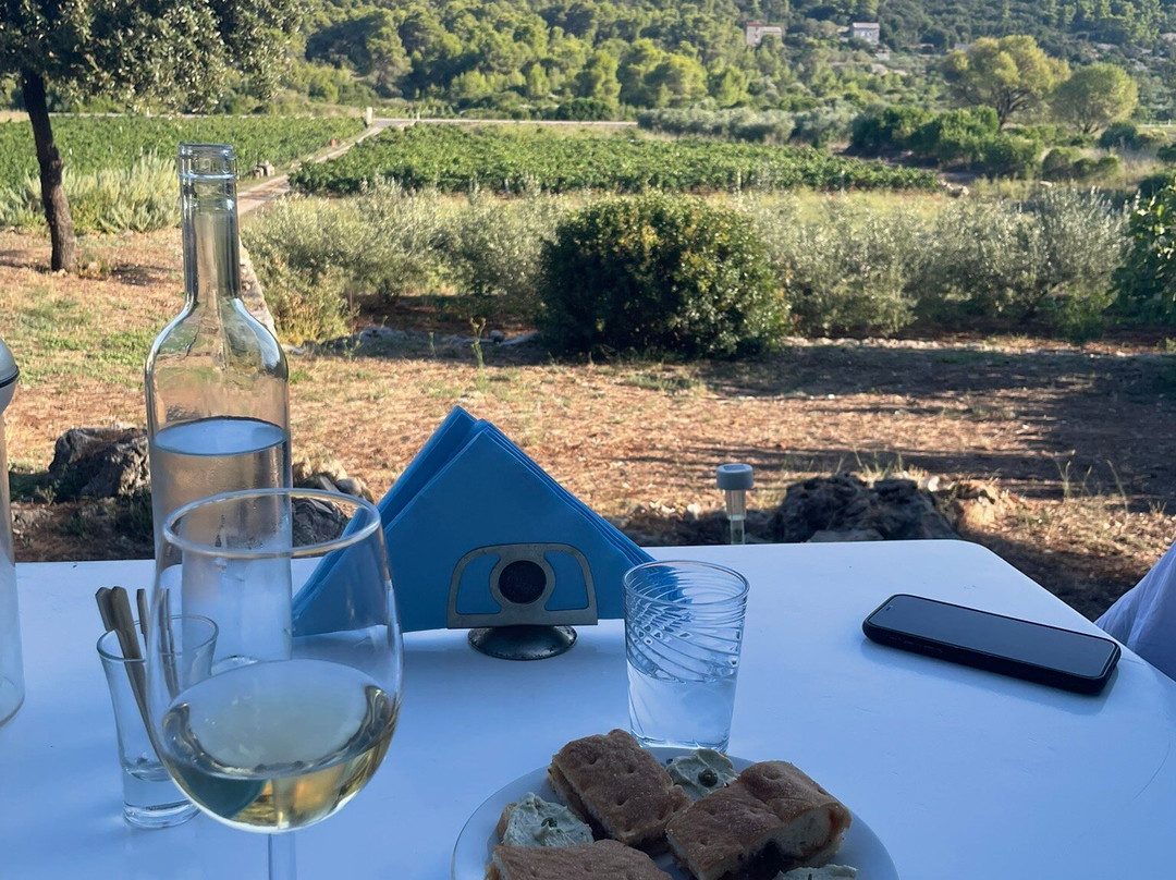 Vidovic Winery-维斯必去景点