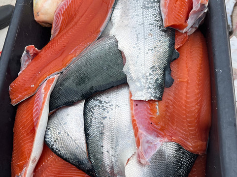 Salmoncrazy Adventures-Kodiak必去景点