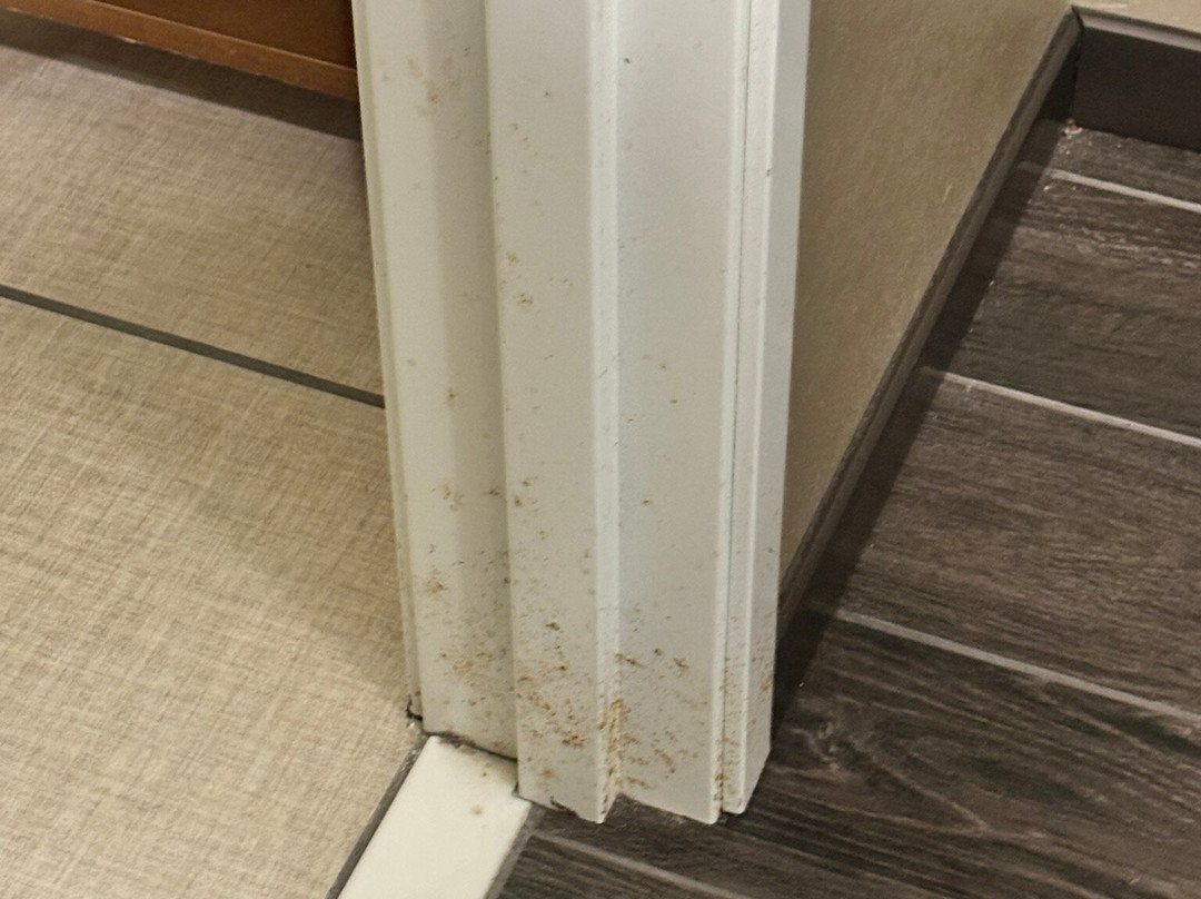 Comfort Suites Near Rainbow Springs主图