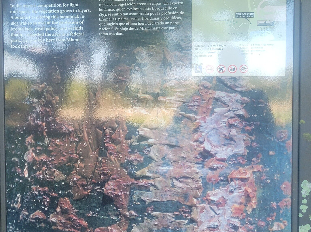 Royal Palm Visitor Center-大沼泽国家公园必去景点