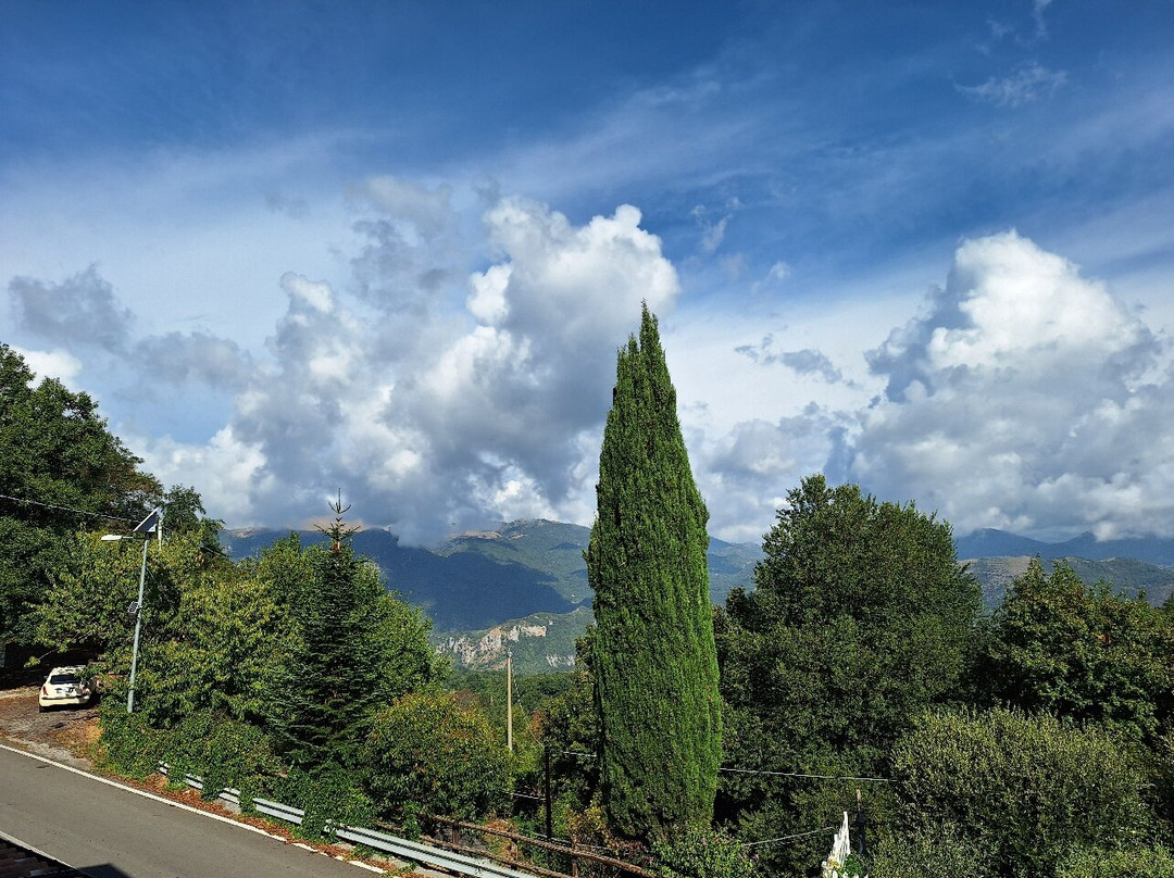 Agriturismo Aria Fina主图