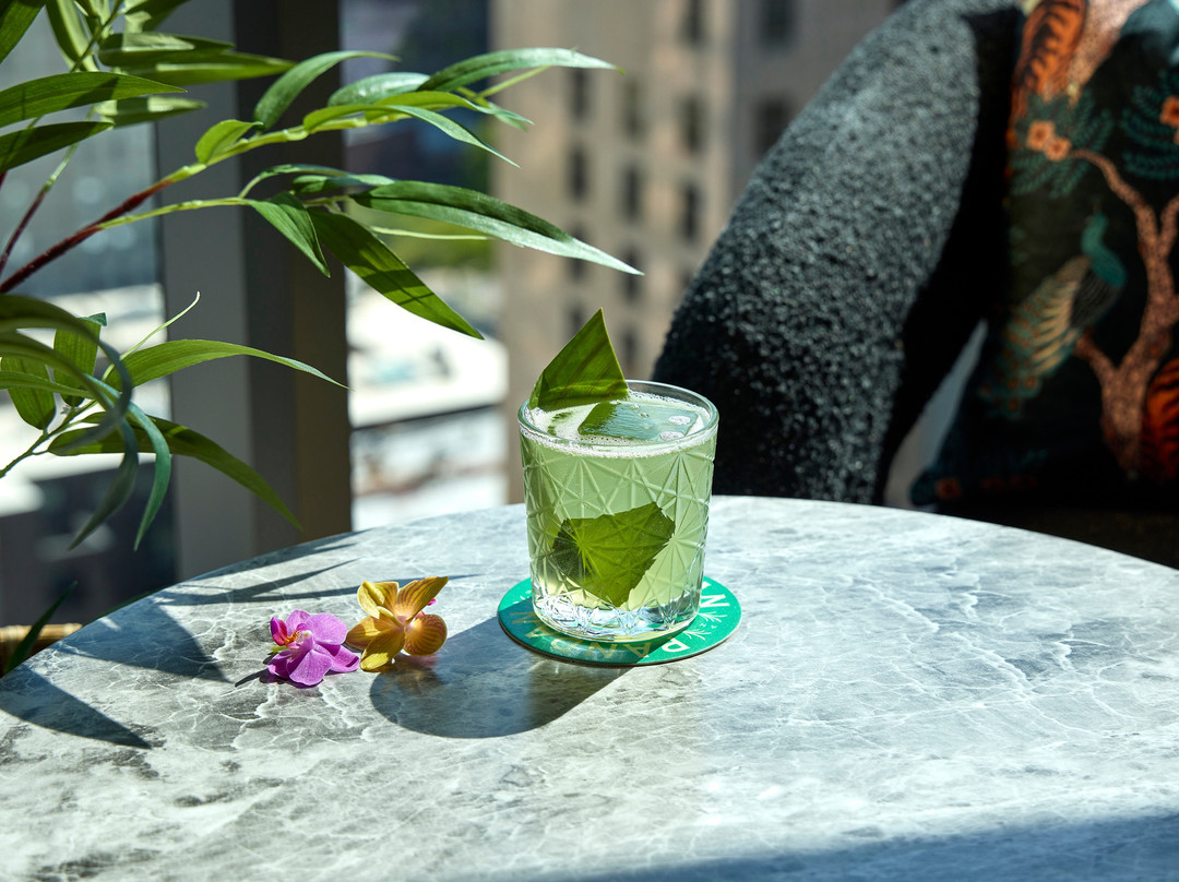 Viceroy Chicago主图