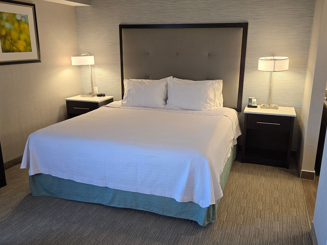 Homewood Suites by Hilton Ottawa Airport主图