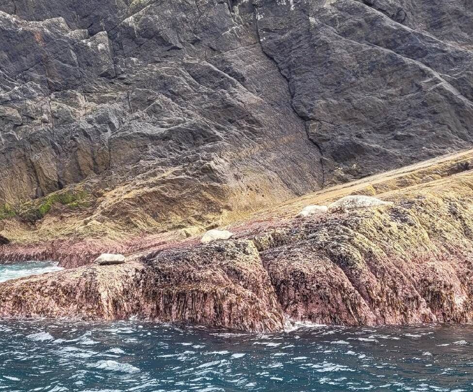 Skellig Coast Adventures-Portmagee必去景点