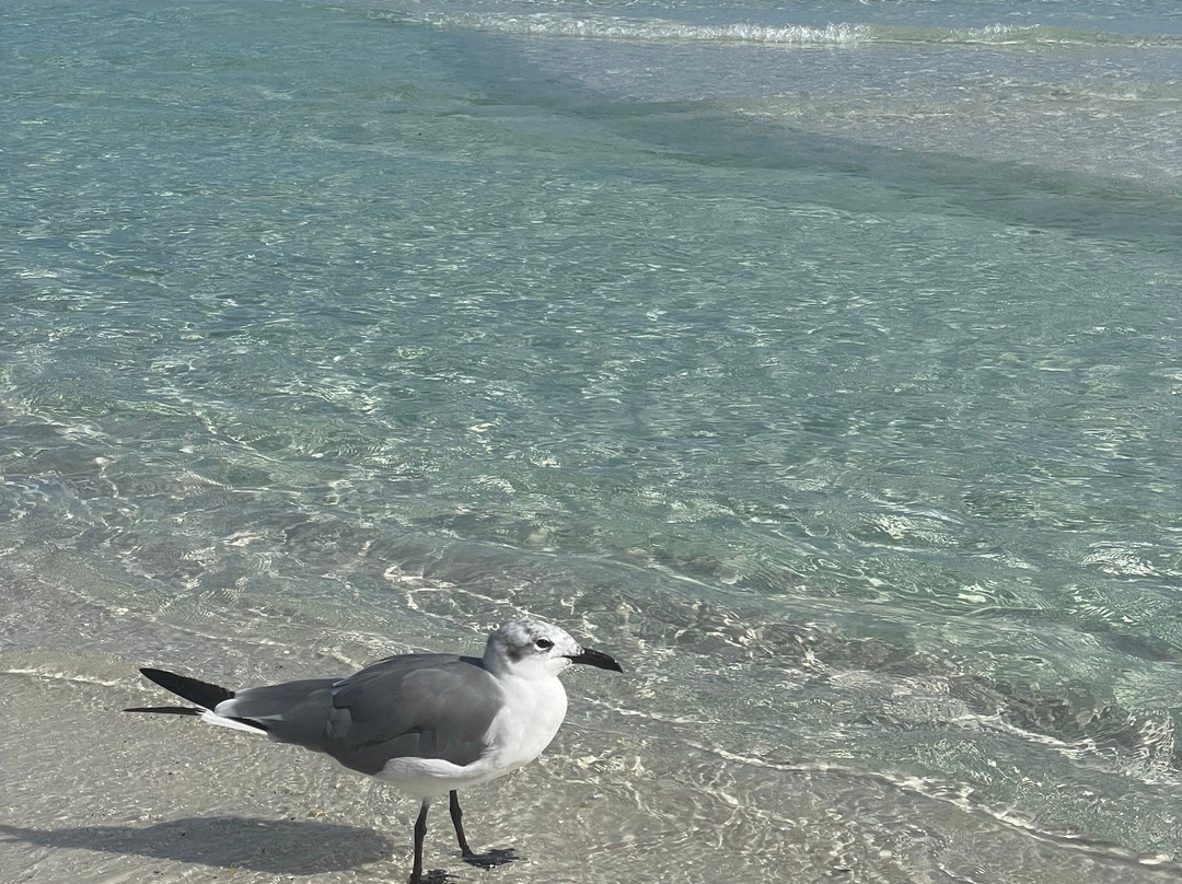 Hidden Dunes Beach & Tennis Resort主图