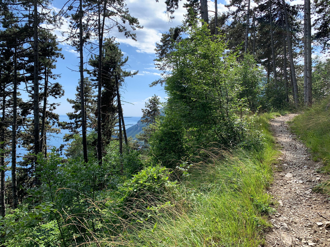 Residence Primera/Rompala主图