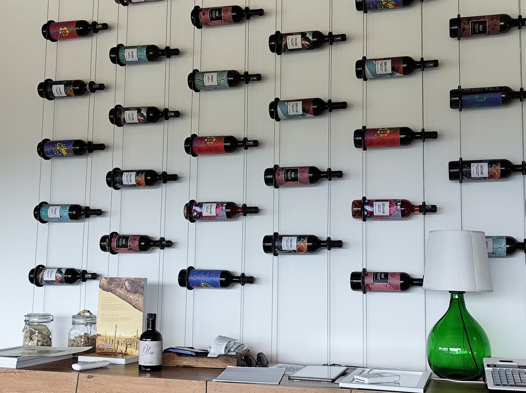 Vigneti Vallorani-Colli Del Tronto必去景点