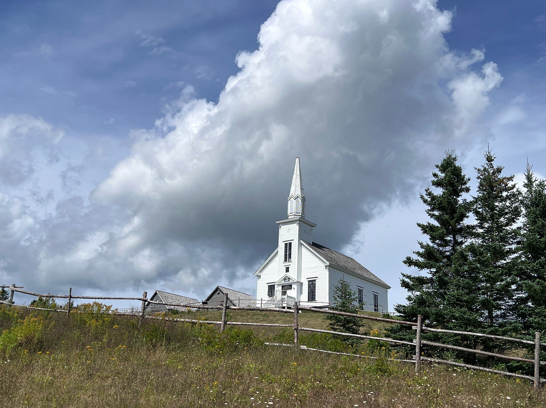 Blackwood Tours-新沃特福德必去景点