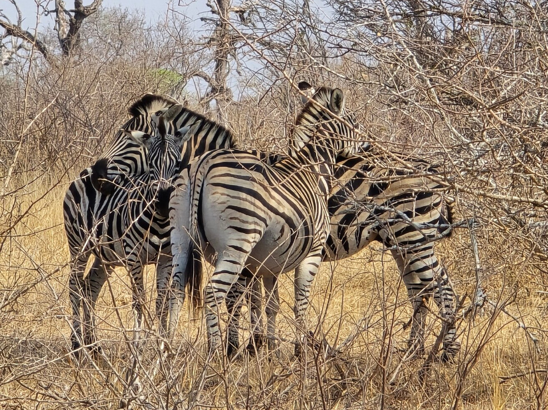 On Safari Africa-雾观必去景点