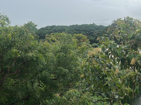 埃纳尼亚斯奈斯特酒店主图