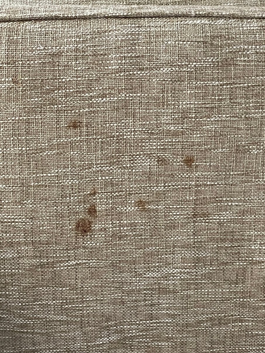 希尔顿欢朋酒店-诺福克海军基地-客卧