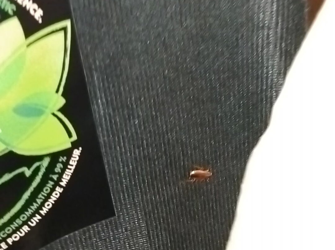 Ramada by Wyndham Surrey/Langley主图