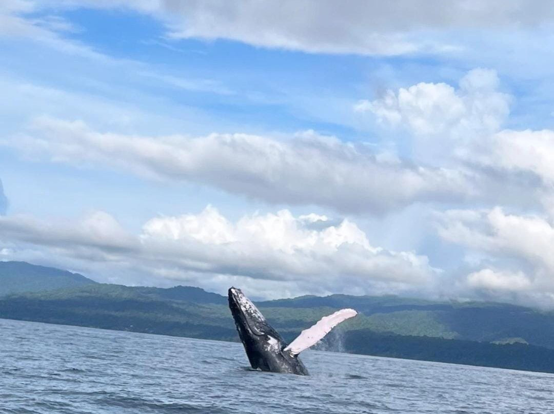 Selvamarina Adventure-Huina必去景点