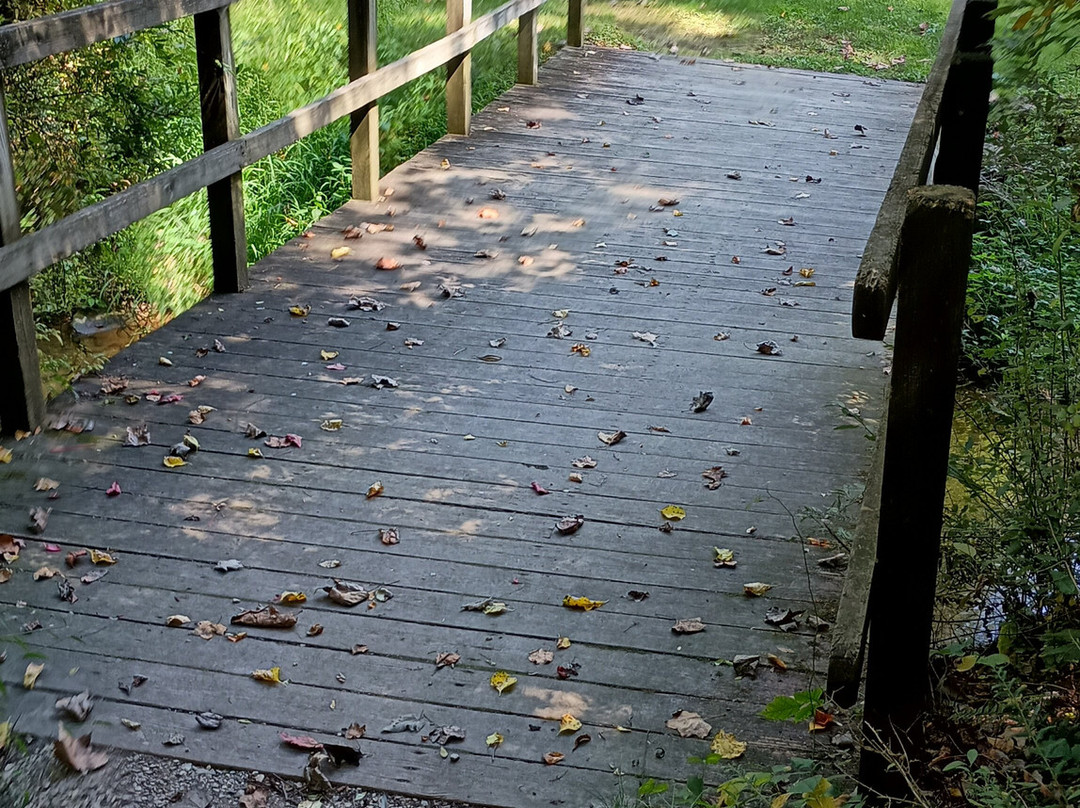 Nixon Park Nature Center-约克必去景点