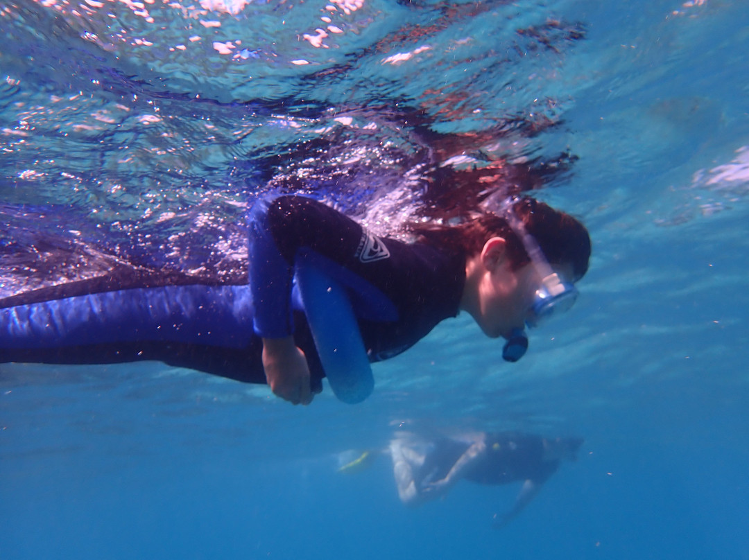 Opal Reef-道格拉斯港必去景点