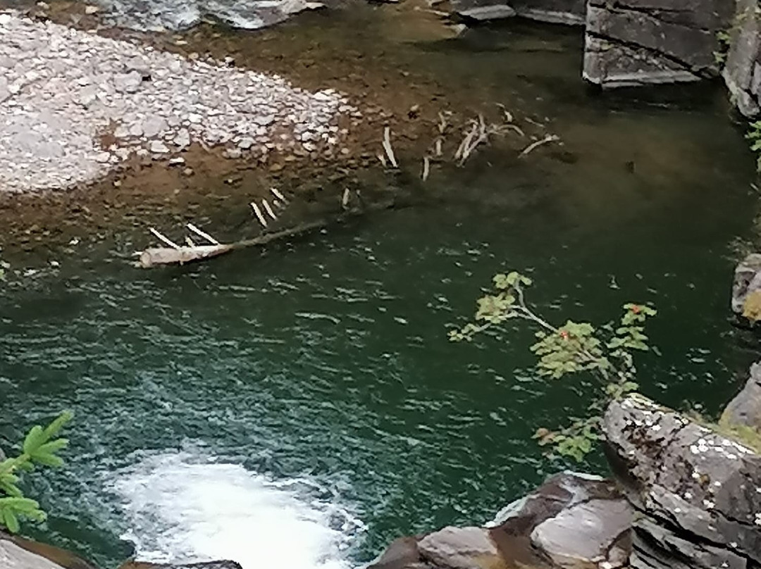 Parco Paneveggio - Pale di San Martino-普雷达佐必去景点