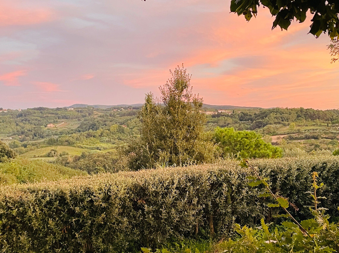 Podere Orzale
