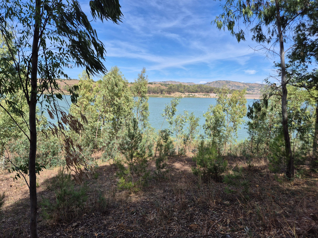 Lago Nicoletti-Enna必去景点
