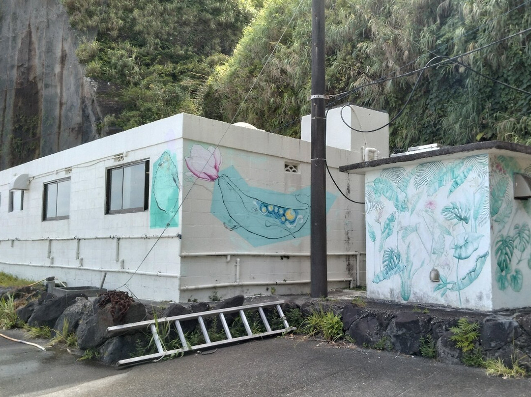 Borawazawa Onsen-八丈町必去景点