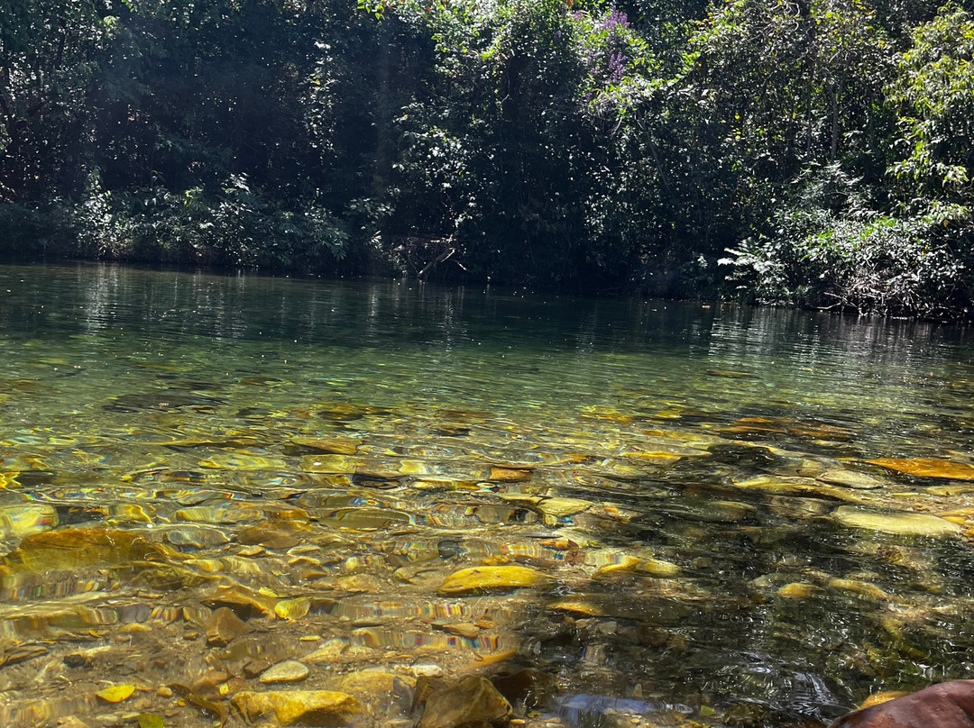 Coletivo Eco-上帕拉伊苏迪戈亚斯必去景点