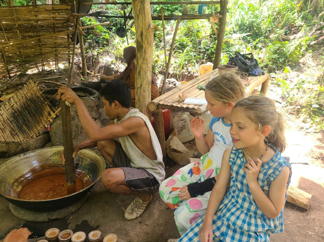 Lombok Forest Tour-Pemenang必去景点
