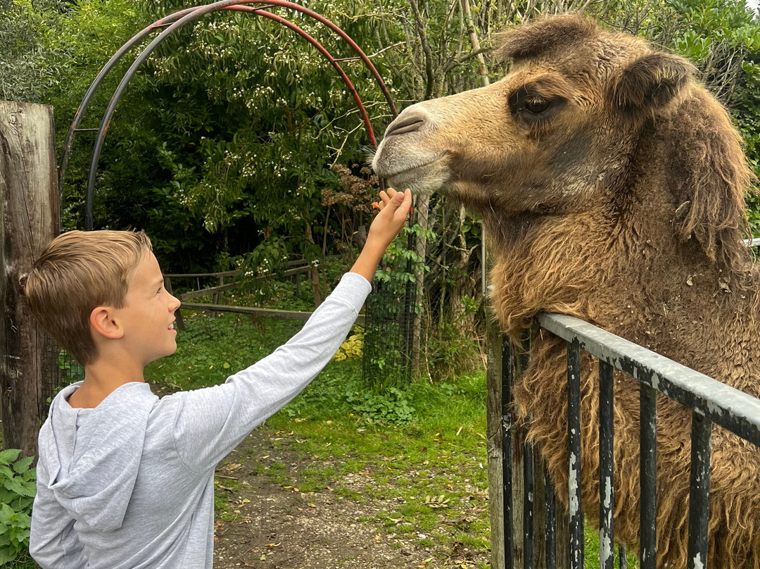Uilen- en Dierenpark De Paay-Beesd必去景点