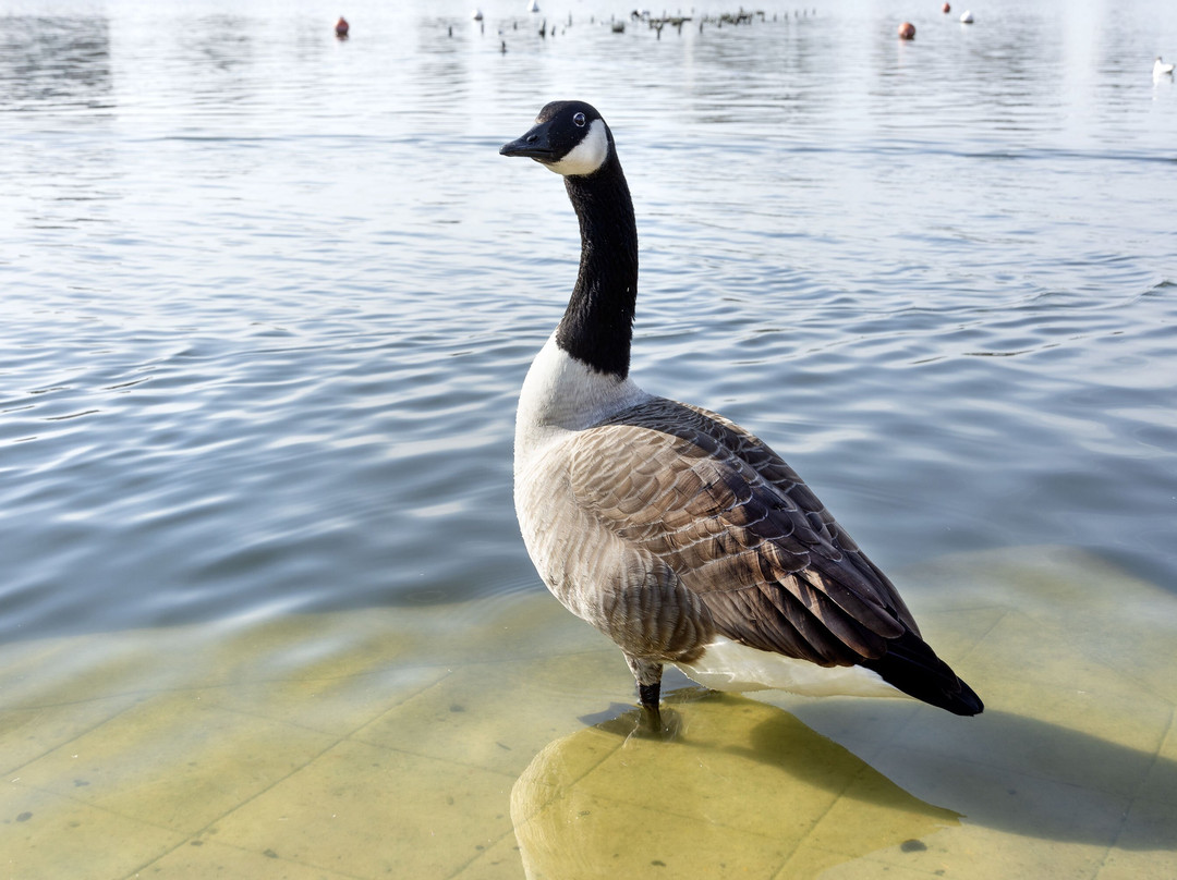 LAC D'ENGHIEN-LES-BAINS-昂吉安莱班必去景点