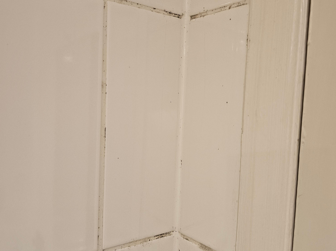 贝斯特韦斯特泽西纹章酒店主图