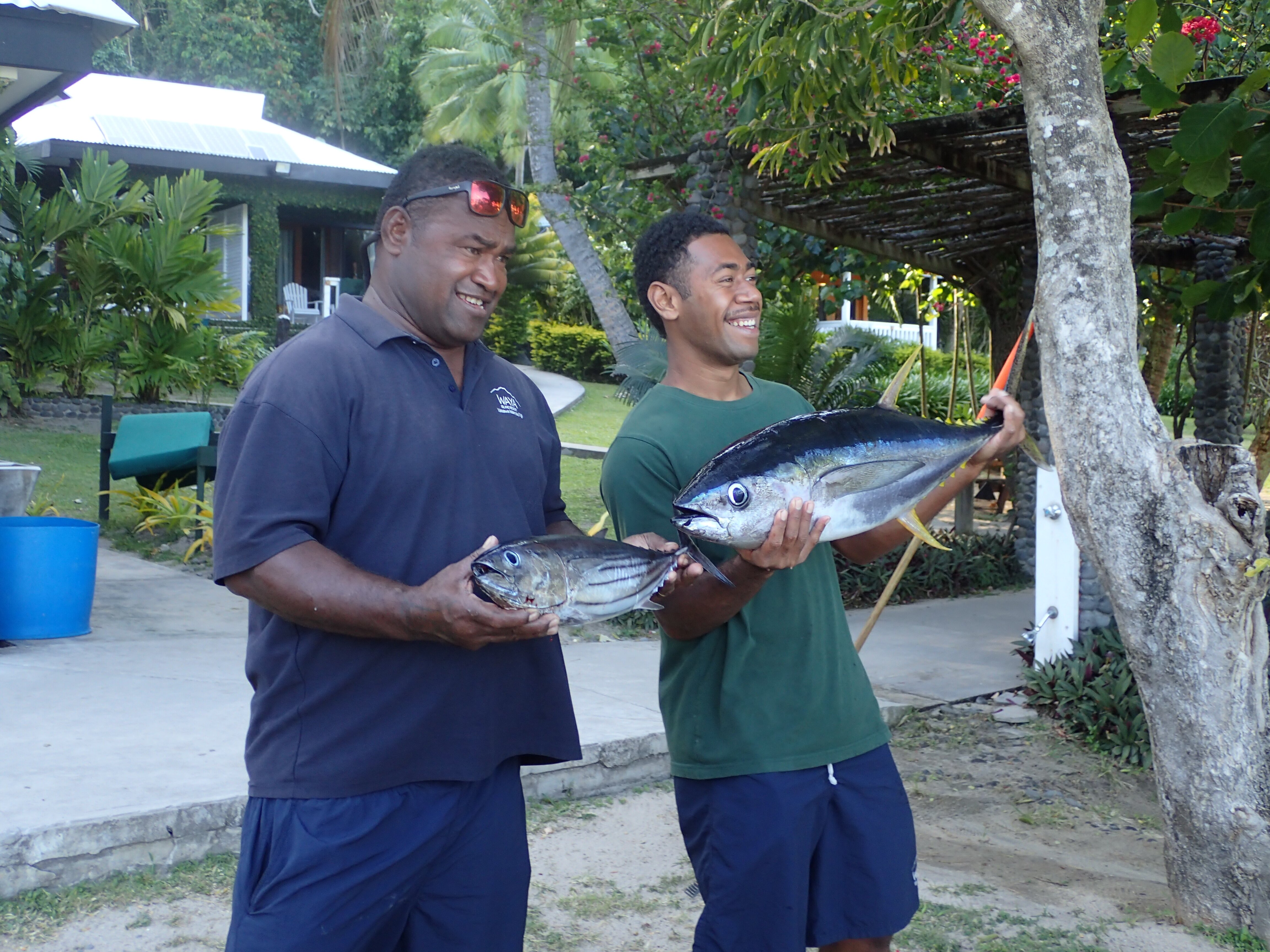 Waya Island Resort-泳池