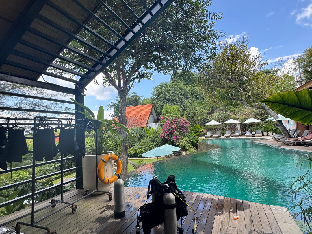 Deep Roots Dive & Yoga Resort主图